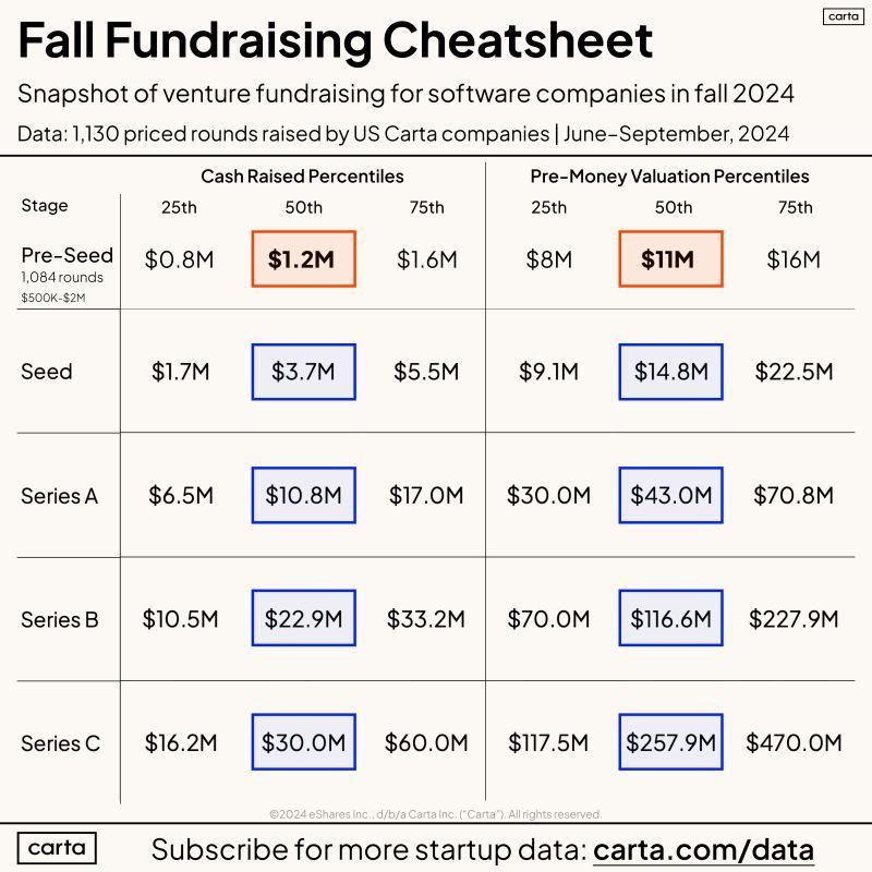 LinkedIn: Fall 2024 Fundraising Data for Software Startup Founders