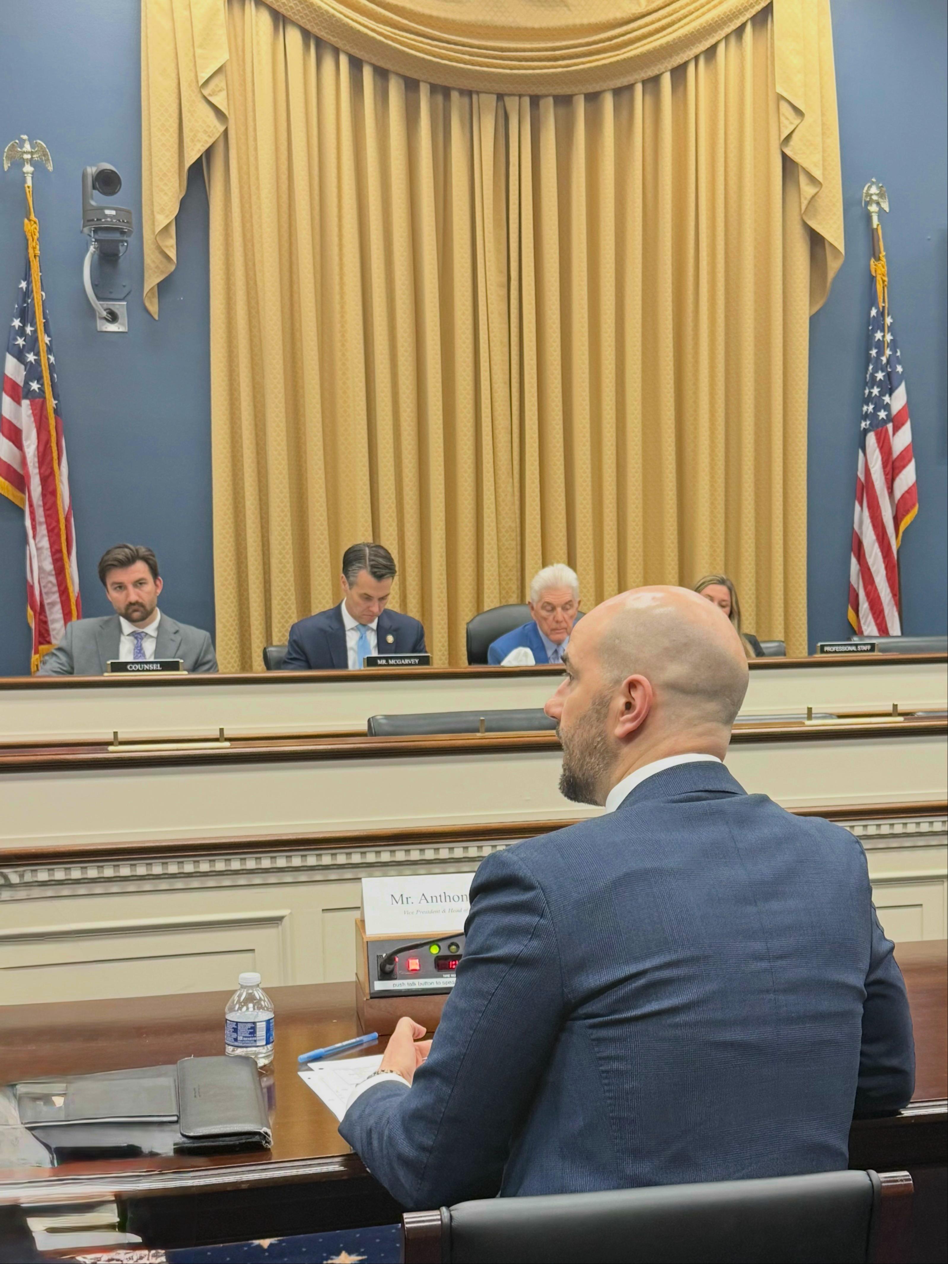 IMG 1110