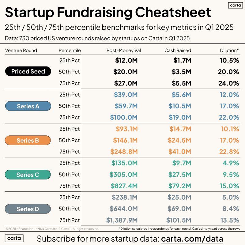 Q1 2025 VC Round Data Cheatsheet for Founders
