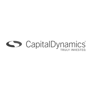 Capital Dynamics
