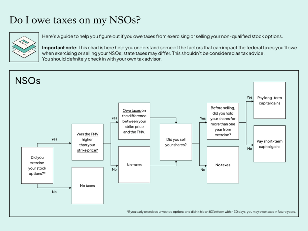 NSO guide graphic explainer